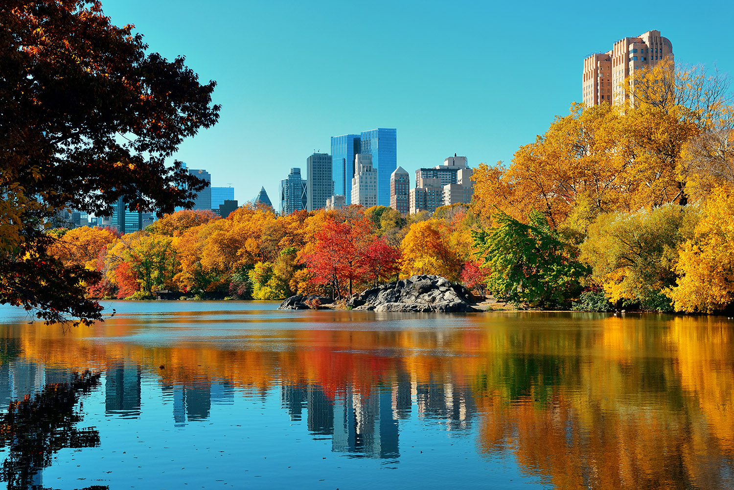 Autumn In New York You Are It The Room Mate Hotels Blog